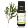 Huile Essentielle de TEA TREE BIO, AROMAZONE