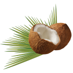 almaye-ingredient-noix-de-coco